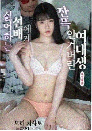长夜灯塔剧集封面